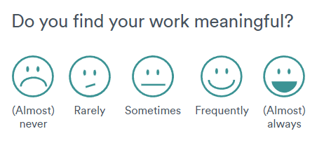 Employee Wellness Surveys work satisfaction and engagement